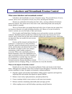 Lakeshore and Streambank Erosion Control
