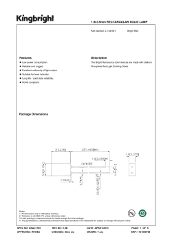 1.9x3.9mm RECTANGULAR SOLID LAMP Features Description