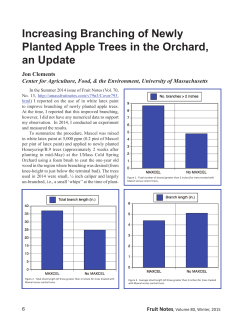 Increasing Branching of Newly Planted Apple Trees in