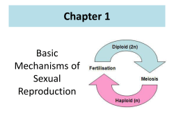 Ch.1 Basic Mechanisms of Sexual Reproduction PPT File