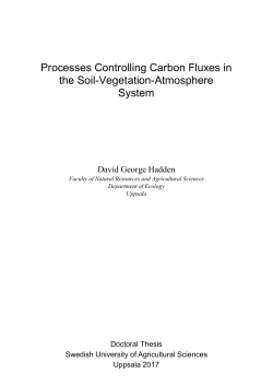 Processes Controlling Carbon Fluxes in the Soil