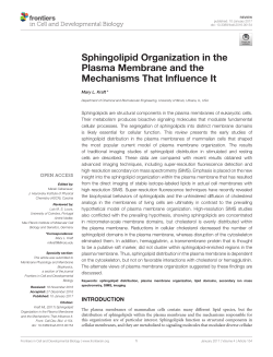 Sphingolipid Organization in the Plasma Membrane and the