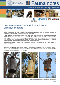 How to design and place artificial hollows for Carnaby`s cockatoo1