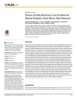 Drivers of Daily Routines in an Ectothermic Marine Predator