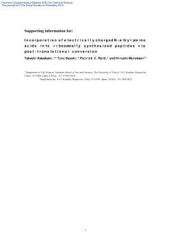 Supplementary information for