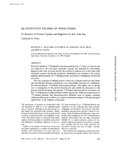 QUANTITATIVE STUDIES OF PINOCYTOSIS II. Kinetics of Protein
