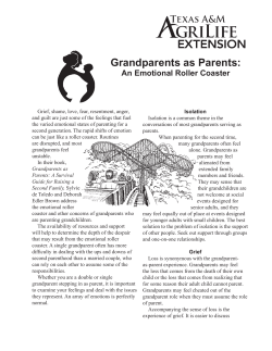 Grandparents as Parents: An Emotional Roller Coaster
