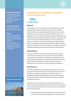 AdriaMed and Scientific Cooperation in the Adriatic Sea