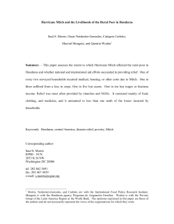 hurricane mitch and the livelihoods of the rural poor in