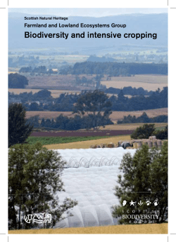 Biodiversity and intensive cropping