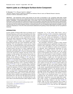 Hybrid Lipids as a Biological Surface