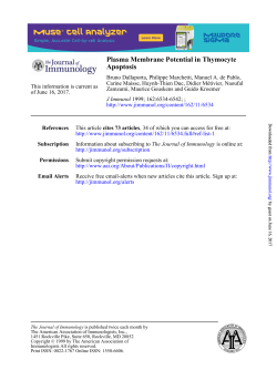 Apoptosis Plasma Membrane Potential in Thymocyte