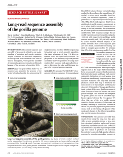 Long-read sequence assembly of the gorilla genome