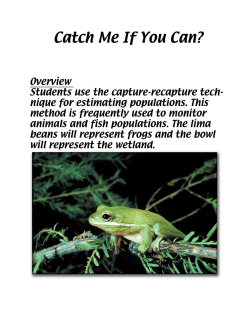 Catch Me if You Can