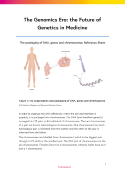 1.9 The packaging of DNA Genes and Chromosomes