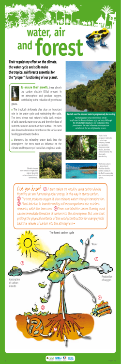 En - Panel 9 - Water, air and forest