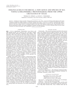 Click here for pdf