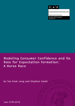 Modeling Consumer Confidence and its Role for Expectation