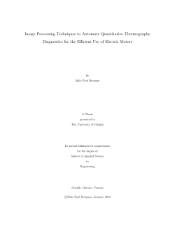 Master`s Thesis lo Bourgon 2012-01-12)