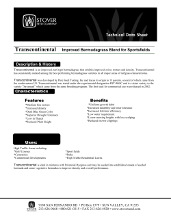 Transcontinental Improved Bermudagrass Blend for Sportsfields