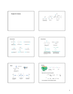 Chapter 24: Amines