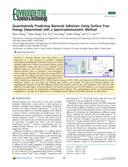 Quantitatively Predicting Bacterial Adhesion