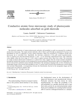 Conductive atomic force microscopy study of plastocyanin