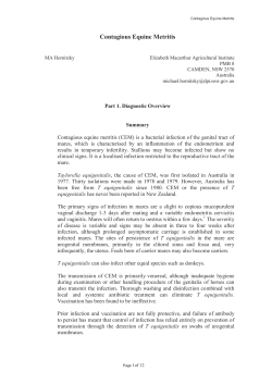 Contagious equine metritis - Department of Agriculture and Water