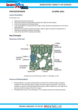 PHOTOSYNTHESIS 10 APRIL 2013 Key Concepts