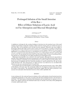 Prolonged Infusion of the Small Intestine of the Rat - Effect