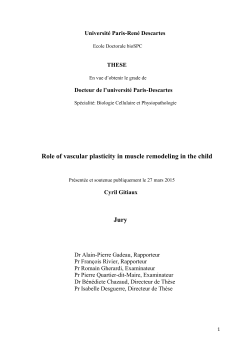 Role of vascular plasticity in muscle remodeling in the child
