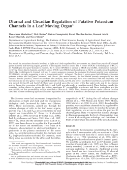 Diurnal and Circadian Regulation of Putative
