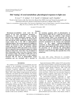Diel `tuning` of coral metabolism: physiological