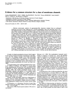 Evidence for a common structure for a class of membrane channels