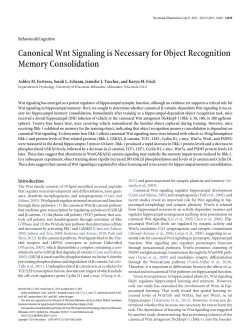 Canonical Wnt Signaling is Necessary for Object Recognition