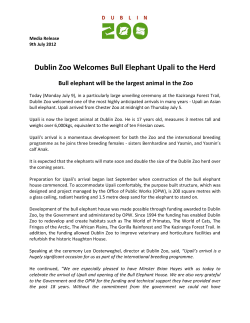 Dublin Zoo Welcomes Bull Elephant Upali to the Herd