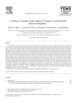 Living in a fungal world: impact of fungi on soil bacterial niche