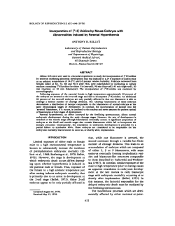 Incorporation of [3 H] Uridine by Mouse Embryos with Abnormalities