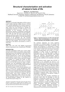 SIGCHI Conference Paper Format