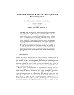 Rank-based Decision Fusion for 3D Shape