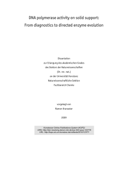 DNA polymerase activity on solid support