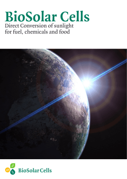 Direct Conversion of sunlight for fuel, chemicals and