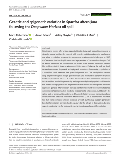 Genetic and epigenetic variation in Spartina alterniflora following the
