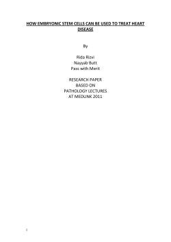 HOW EMBRYONIC STEM CELLS CAN BE USED TO