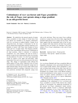 Codominance of Acer saccharum and Fagus grandifolia: the role of