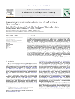 Copper tolerance strategies involving the root cell wall pectins in