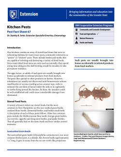 Kitchen Pests - UNH Cooperative Extension