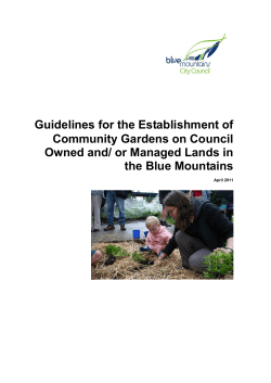 Guidelines for the Establishment of Community Gardens on Council