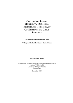 Modelling the impact of changing income distribution on child injury