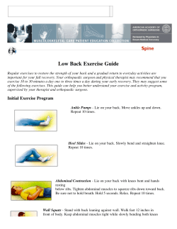 Low Back Exercise Guide